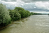 Rhein Hochwasser Mai 2015 • <a style="font-size:0.8em;" href="http://www.flickr.com/photos/10096309@N04/17479430075/" target="_blank">View on Flickr</a>