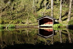Pond in Slottsskogen