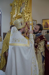 JPR_4448_новый размер