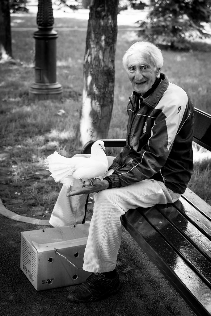 symbol of avian happiness black dove joy happiness peace (bibi.deaconu) happiness Tags: white