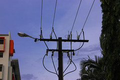 Power Pole, Doctors Gully Road, Darwin