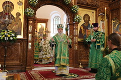 60. St. John, recluse of Svyatogorsk Monastery / Прп. Иоанна Затворника