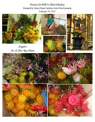 2012_02_19_Mini-MarketProtea • <a style="font-size:0.8em;" href="http://www.flickr.com/photos/145209964@N06/29194823664/" target="_blank">View on Flickr</a>