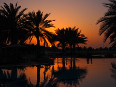 Sunset, Abu Dhabi!