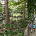 River Walk • <a style="font-size:0.8em;" href="http://www.flickr.com/photos/26088968@N02/17187790619/" target="_blank">View on Flickr</a>