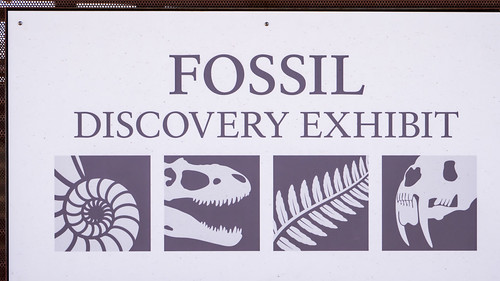 Fossil Discovery Exhibit