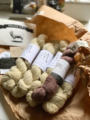 2019-2-22 Beautiful yarn from Tolt Yarn