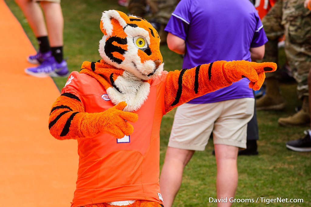Clemson Football Photo of The Tiger