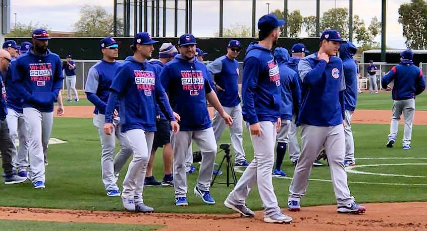 Chicago Sports  Photo of cubs and spring and training