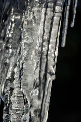 Project 365/Day 41: Icicles