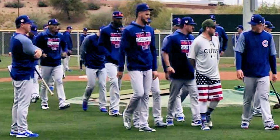 Chicago Sports  Photo of cubs and spring and training