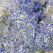 Azul Bahia Granite (sodalite metasyenite, Itabuna Syenite Complex, Neoproterozoic, ~676 Ma; Fazenda Hiassu, Bahia State, Brazil) 16