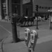 A horse-drawn carriage passes a double-headed parking meter, Charlottetown, Prince Edward Island / Charrette tirée par un cheval passant près d’un double parcomètre, Charlottetown (Île-du-Prince-Édouard)