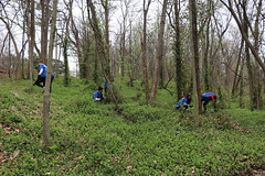 Caleres helps to clean up Forest Park • <a style="font-size:0.8em;" href="http://www.flickr.com/photos/45709694@N06/47593907961/" target="_blank">View on Flickr</a>
