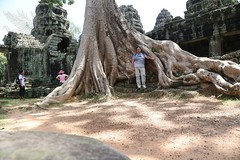 Angkor_2014_15