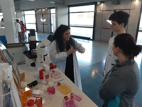 Relais2019Lux_Cancer-Research-Lab (22)