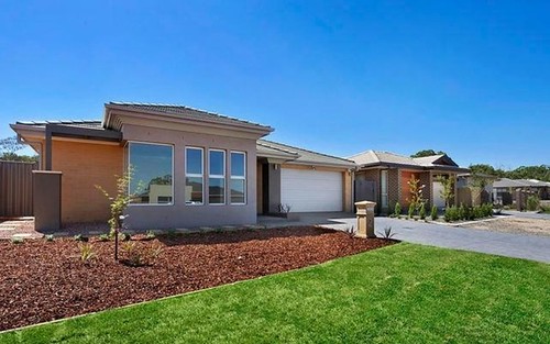 18 Blizzard Circuit, Forde ACT