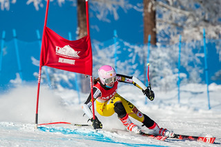 Dreadnaught FIS Speed - Best Peak Sponsor Pic