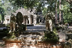 Angkor_Ta Prohm_2014_04