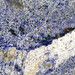 Azul Bahia Granite (sodalite metasyenite, Itabuna Syenite Complex, Neoproterozoic, ~676 Ma; Fazenda Hiassu, Bahia State, Brazil) 19