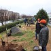 Ayrsley_Tree_Planting_2019_ (61)