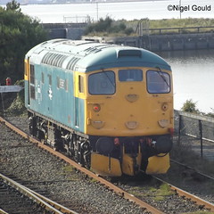 26038