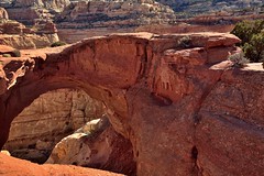 The Cassidy Arch and the Grand Wash (Capitol Reef National Park)