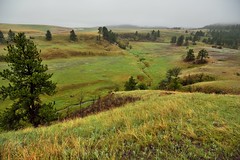 Rolling Hills with Morning Overcast Skies (Wind Cave National Park)