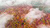 Autumn colours from above