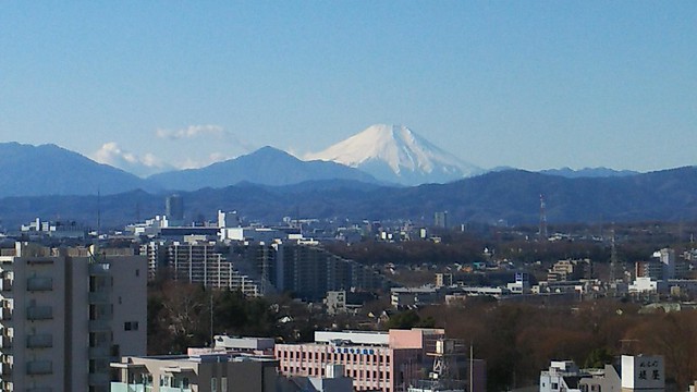 元旦の朝の富士山です