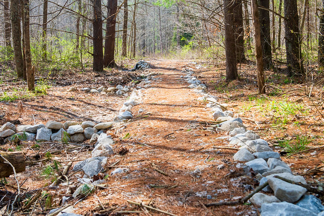 Hoosier National Forest - Knobstone Trail - April 10, 2019