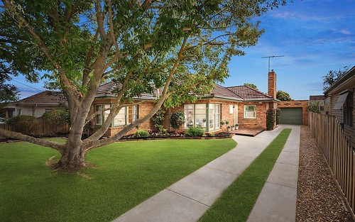 16 Panorama Road, Herne Hill VIC