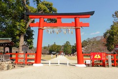 Kamigamo Shrine, Torii (Gate) -1 (April 2019)