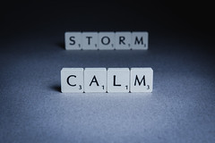 41/365 - Calm Before the Storm