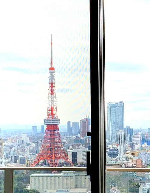 天から足までの東京タワービュー！