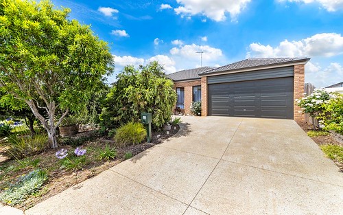 43 Clyde Avenue, St Leonards VIC