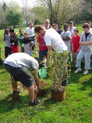 tree planting ceremony