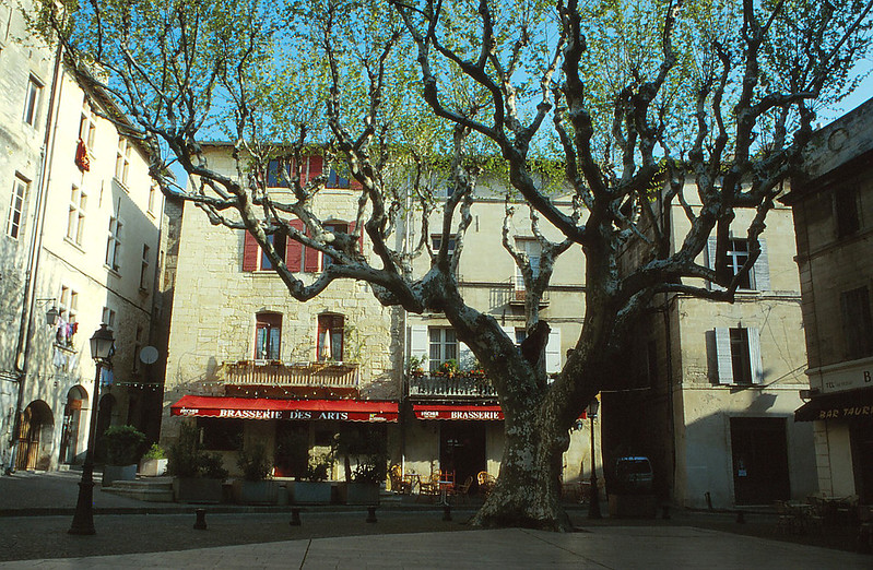 Place Georges Clémenceau, Beaucaire<br/>© <a href="https://flickr.com/people/87974483@N02" target="_blank" rel="nofollow">87974483@N02</a> (<a href="https://flickr.com/photo.gne?id=47058619192" target="_blank" rel="nofollow">Flickr</a>)