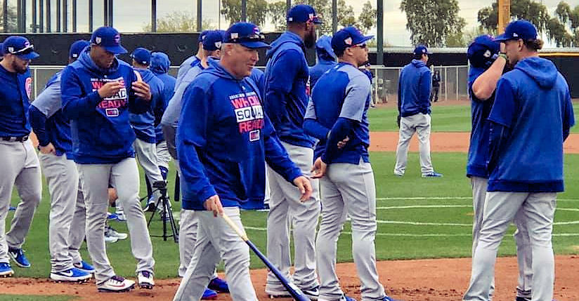 Cubs  Photo of spring and training
