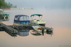 Lake Flower Boats_0055