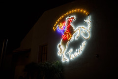 0219 Texican Court neon sign at night