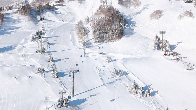 2019 日本滑雪_0123_13