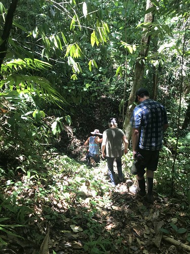 Guests on a hike with Argenis