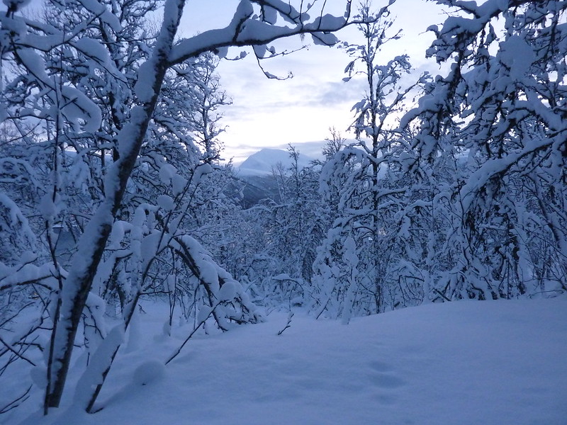 snow shoeing in Tromsøya<br/>© <a href="https://flickr.com/people/9228922@N03" target="_blank" rel="nofollow">9228922@N03</a> (<a href="https://flickr.com/photo.gne?id=45682212935" target="_blank" rel="nofollow">Flickr</a>)