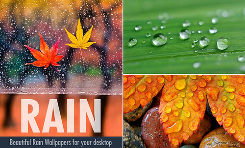 20 Beautiful HD Rain Wallpapers for your desktop - a photo on Flickriver