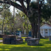 Huguenot Cemetary • <a style="font-size:0.8em;" href="http://www.flickr.com/photos/26088968@N02/47088706062/" target="_blank">View on Flickr</a>