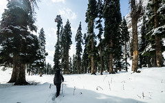Hiking in Lidderwat during winters and betrayed by weather