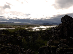 Thingvellir - Islande 004