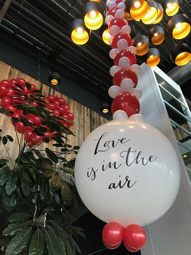 Ballonslinger Love is in the Air en Ballonnenwand Valentijnsdag Watertuin Spijkenisse