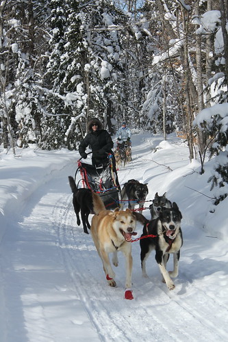Dog Sledding & Ice Caves of Northern Michigan, March 2019